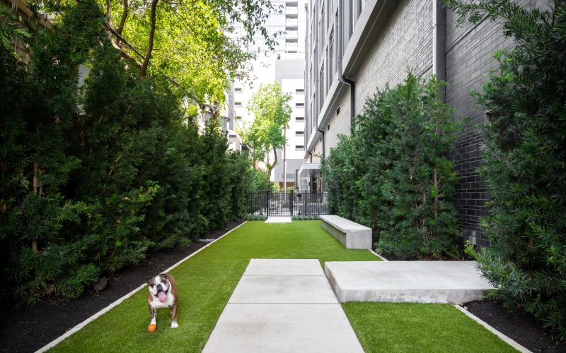 private pet play area on lush, green turf and with easy-to-access sidewalks to come in and out of apartment homes